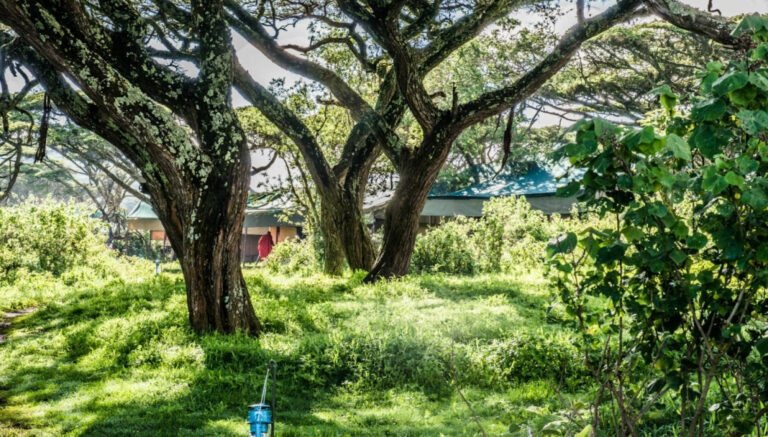 Ang'ata Ngorongoro Camp - Tansania Safaris - Cobra Verde