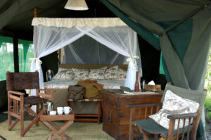 Kirurumu Serengeti Camp - Tansania Safaris - Cobra Verde