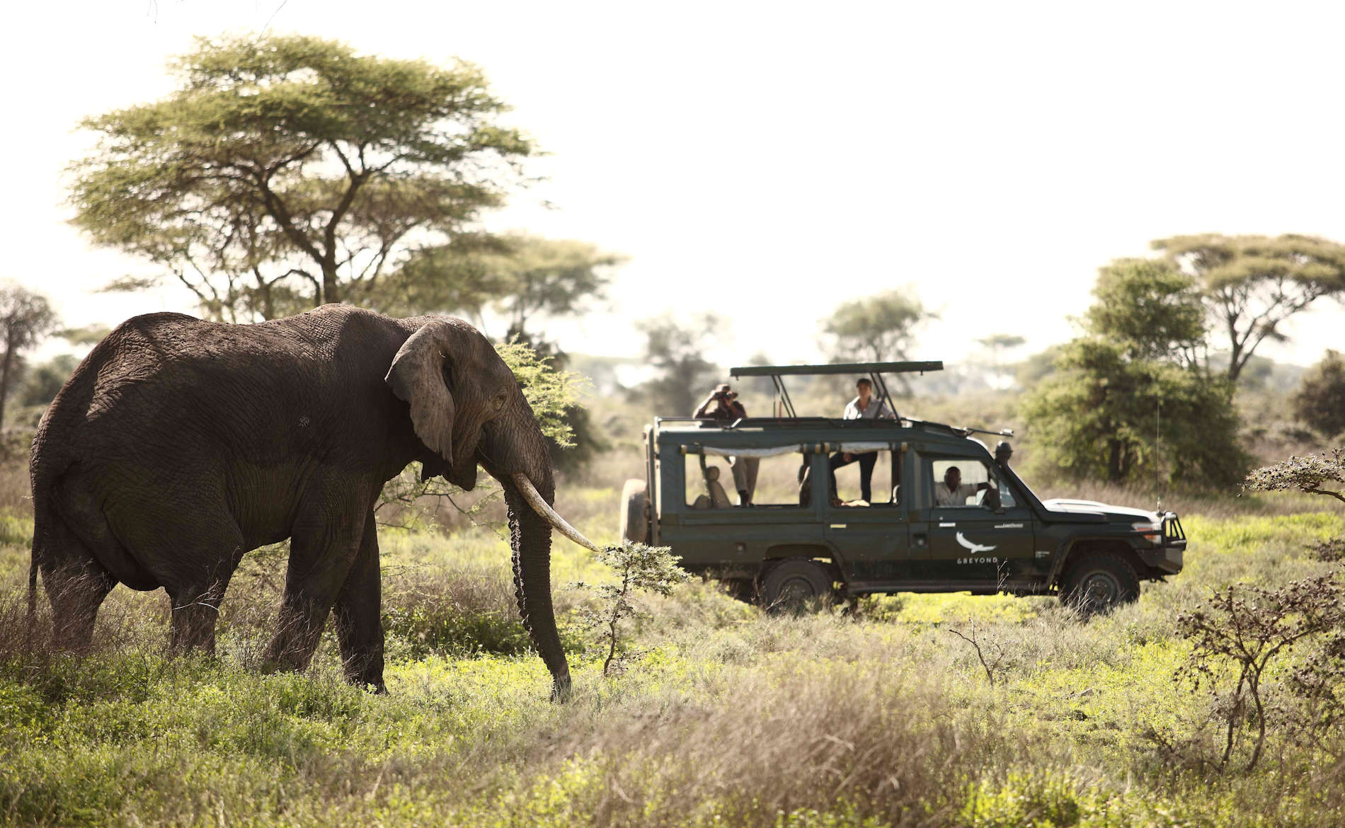 Grumeti Serengeti Tented Camp (7)