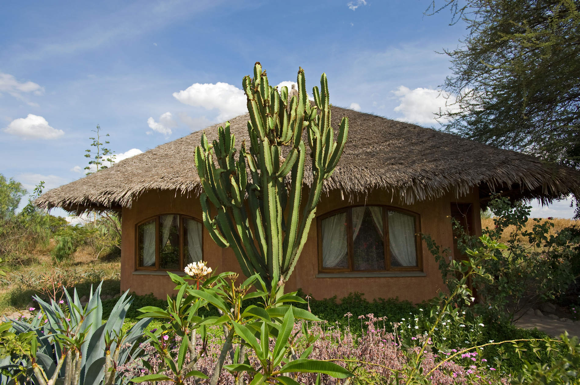 KIA Lodge01