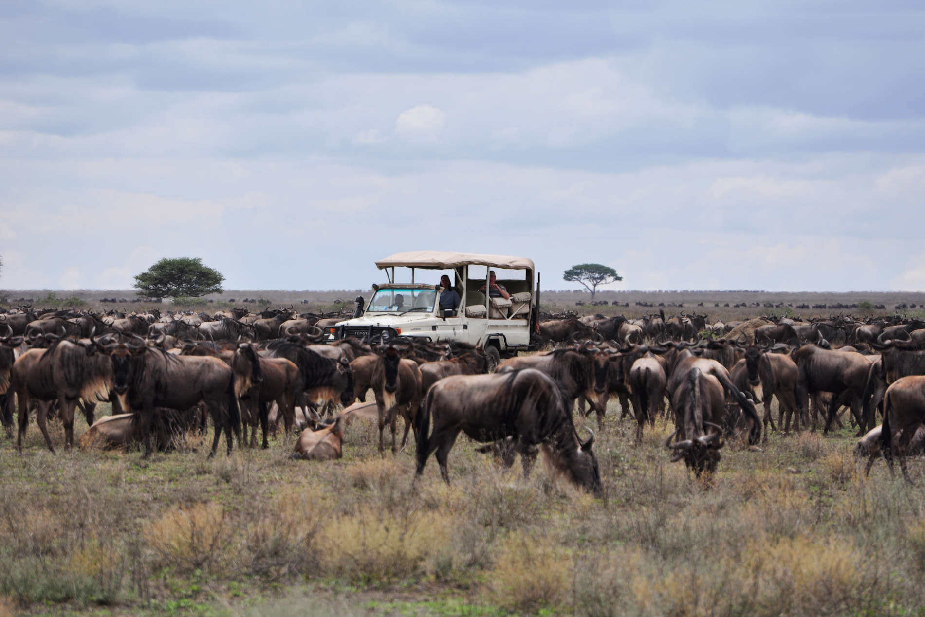 Kusini Camp Serengeti (31)