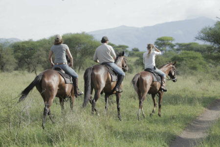 Tansania Safari Manyara See Ranch