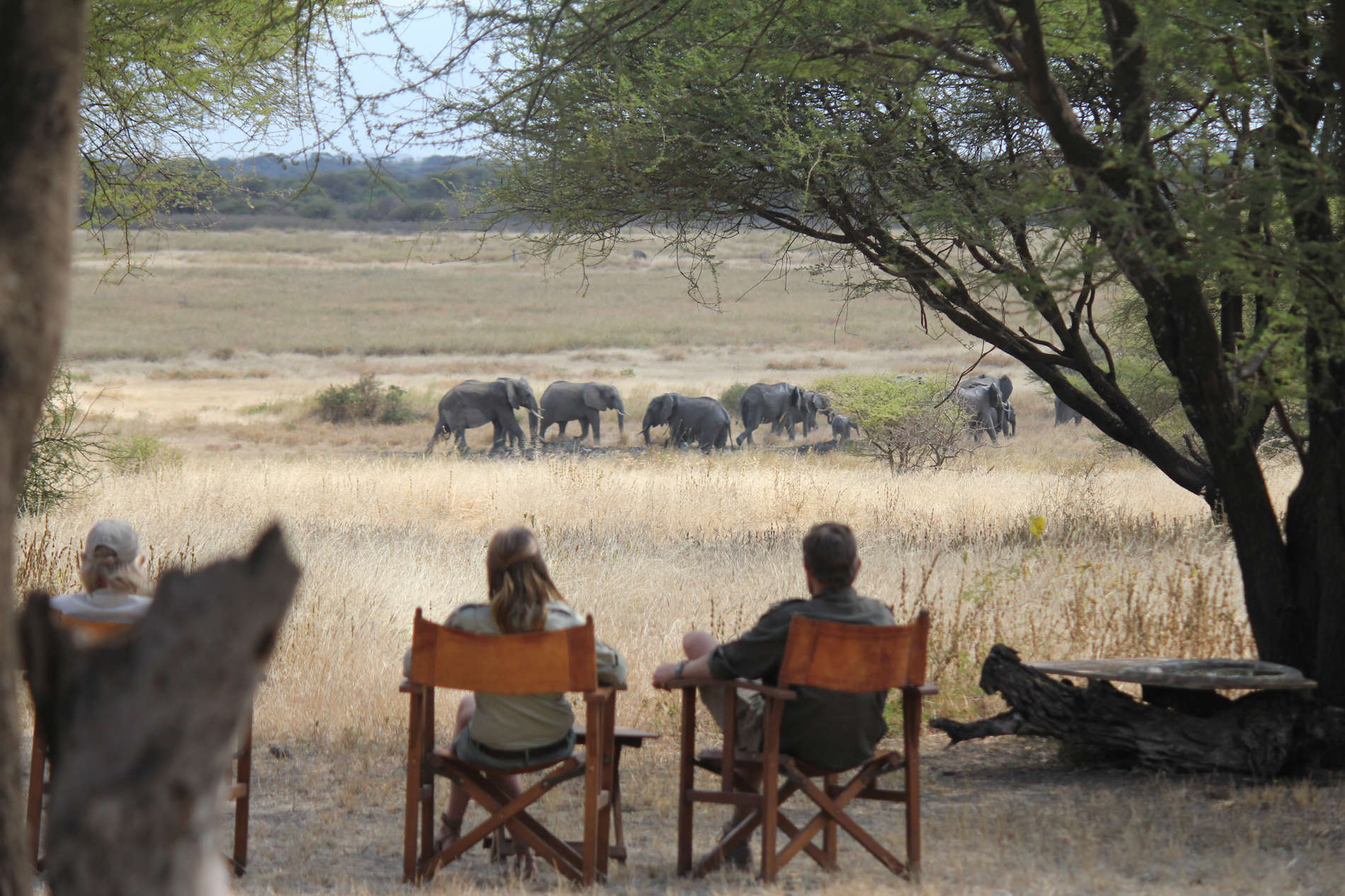 Lake Manyara Ranch (37)
