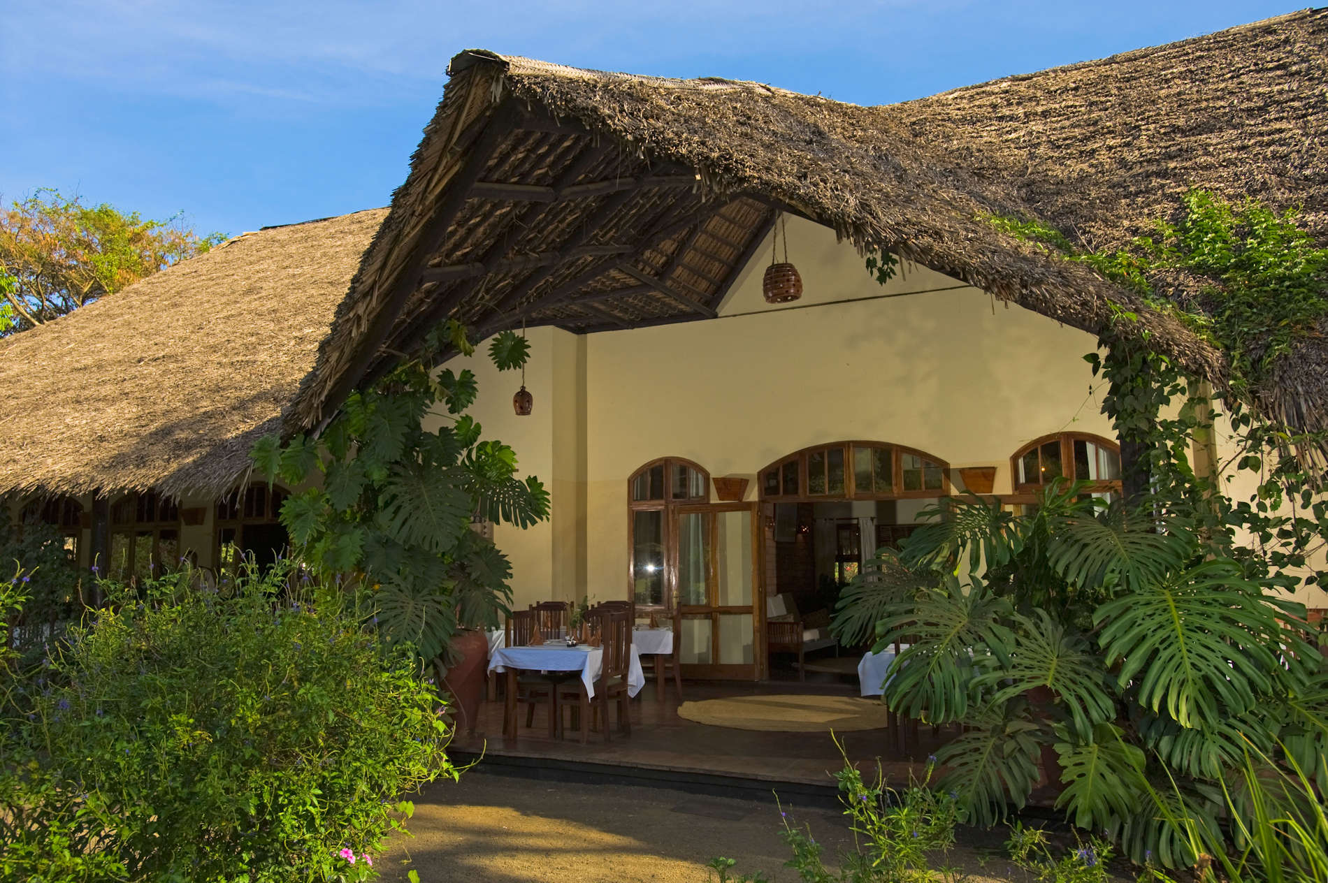 Tansania Safaris und Reisen Arusha