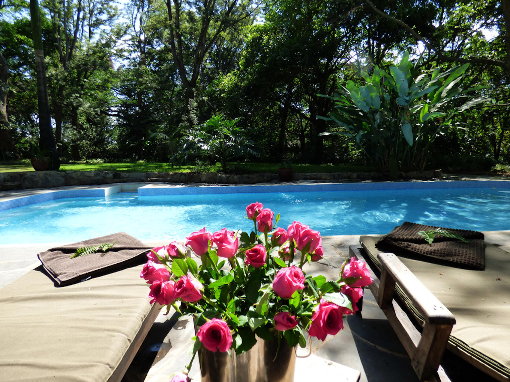 Rivertrees Arusha (27)