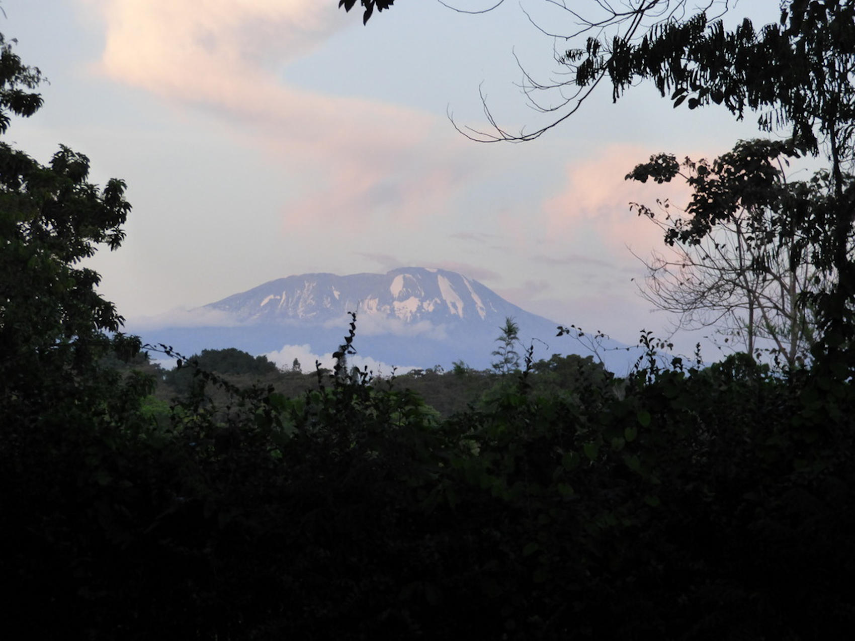 Rivertrees Arusha (30) Tansania Safaris und Reisen Arusha