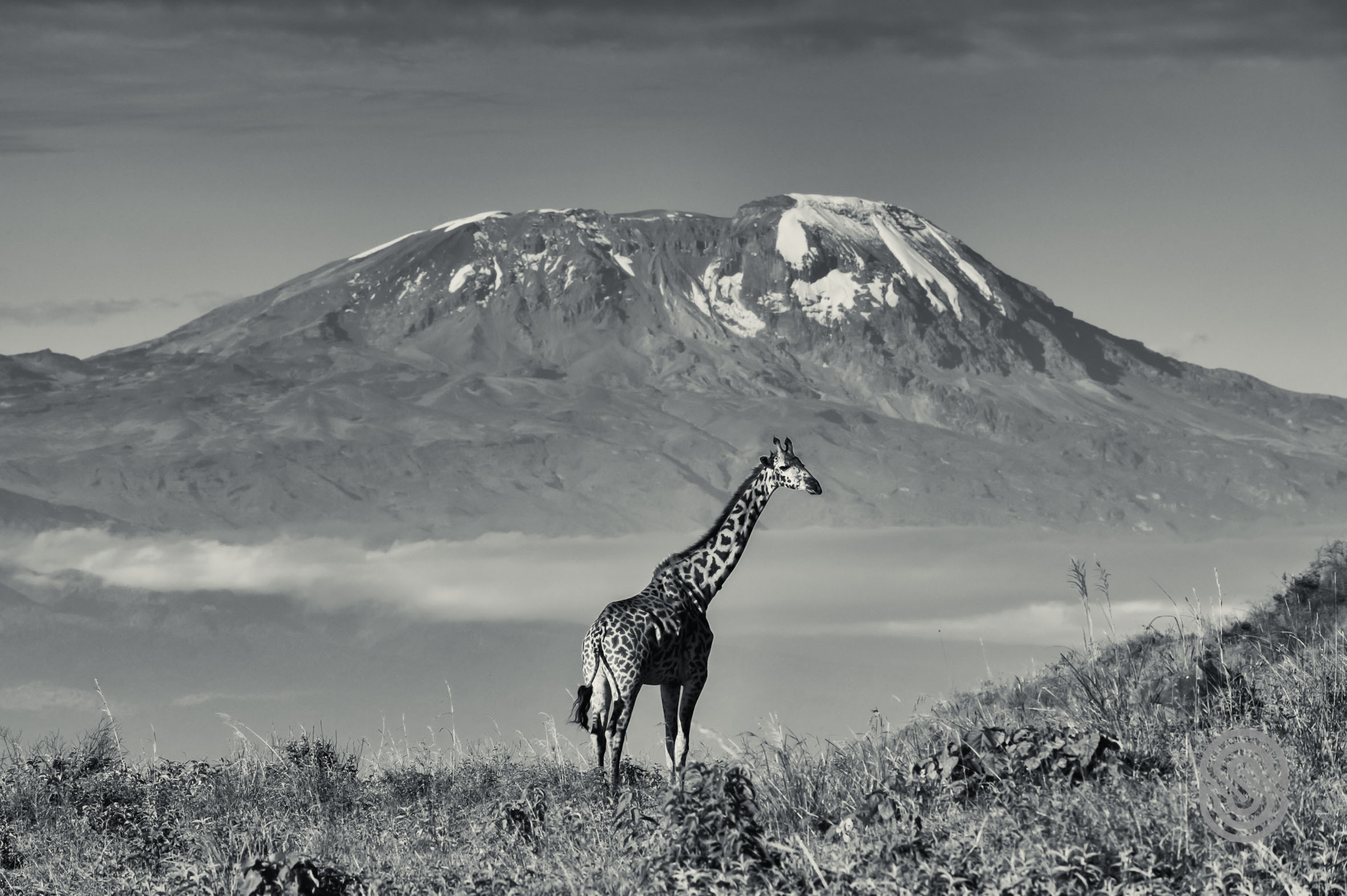 Serena Mountain Village Lodge (19) Tansania Safaris und Reisen Arusha