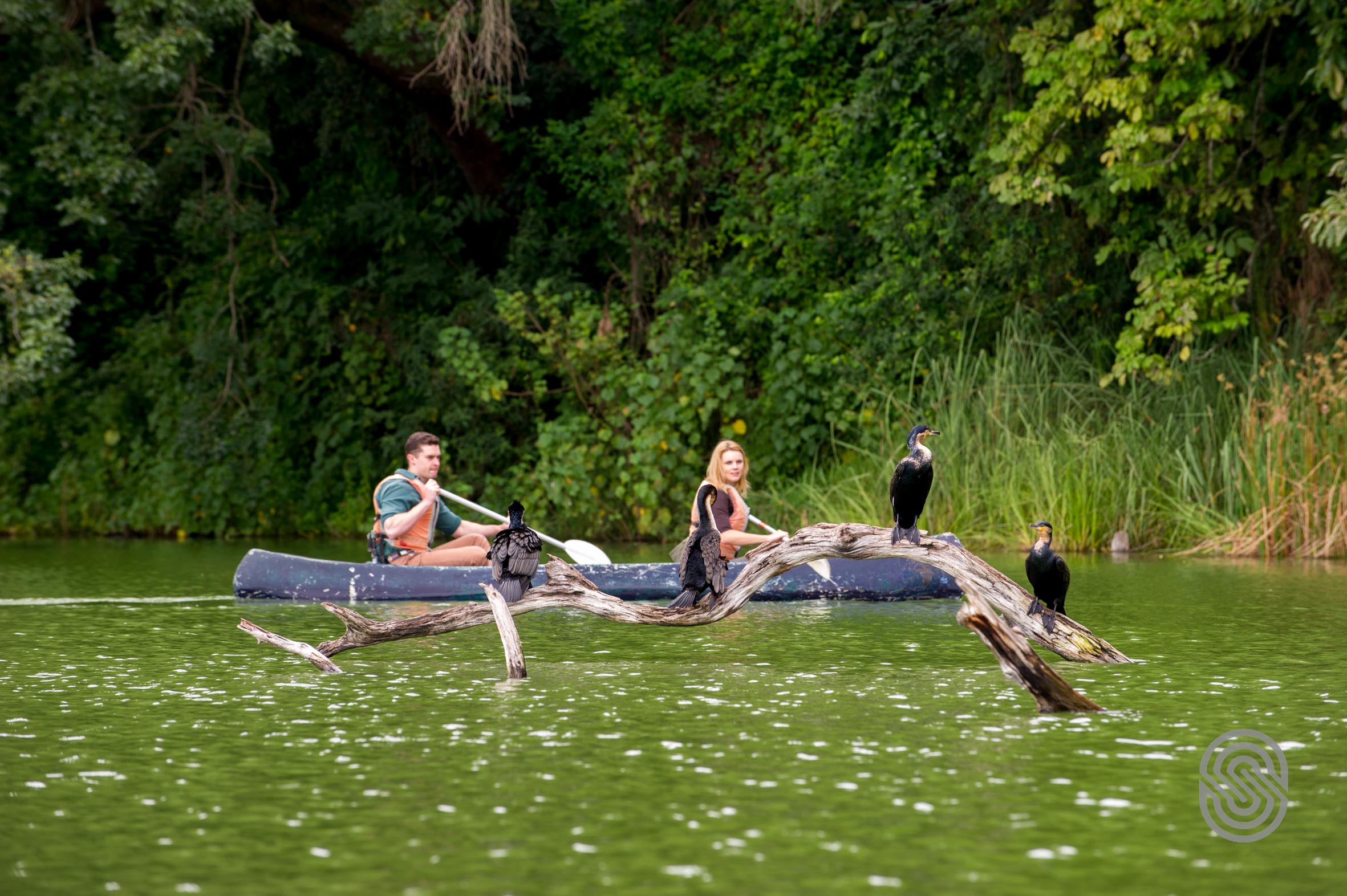 Tansania Safaris und Reisen