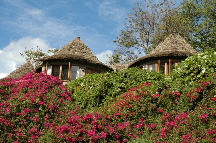 Serena Mountain Village Lodge (3) Tansania Safaris und Reisen Arusha