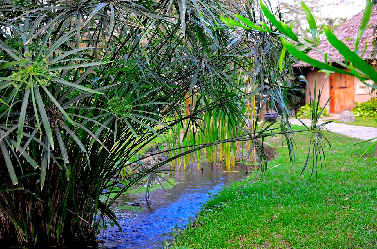 Arusha - Arumeru River Lodge- Garten