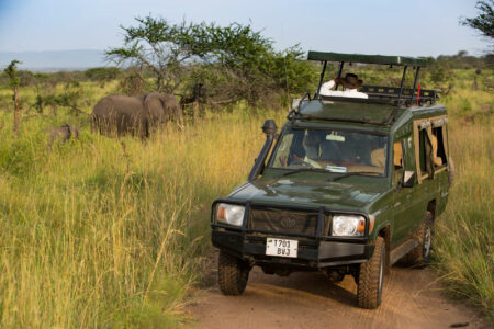 Tansania Safari Serengeti Geländewagen