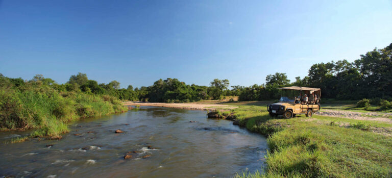 selous safari buchen