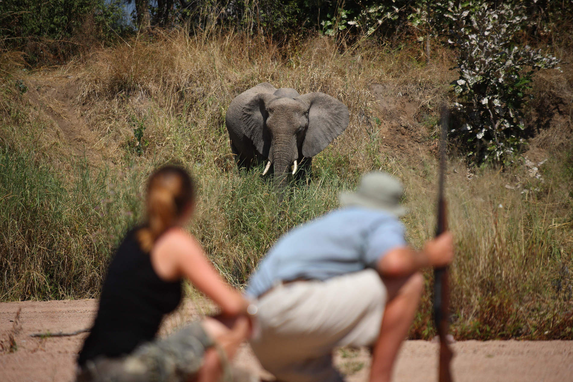 Jongomero Camp Ruaha (25)