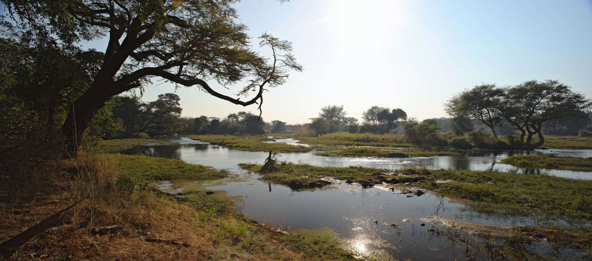 Jongomero Camp Ruaha (31)