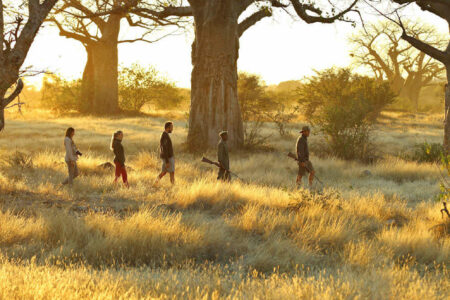Tansania Safari Kichaka Camp Ruaha