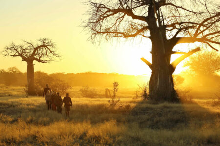 Tansania Reisen und Safaris