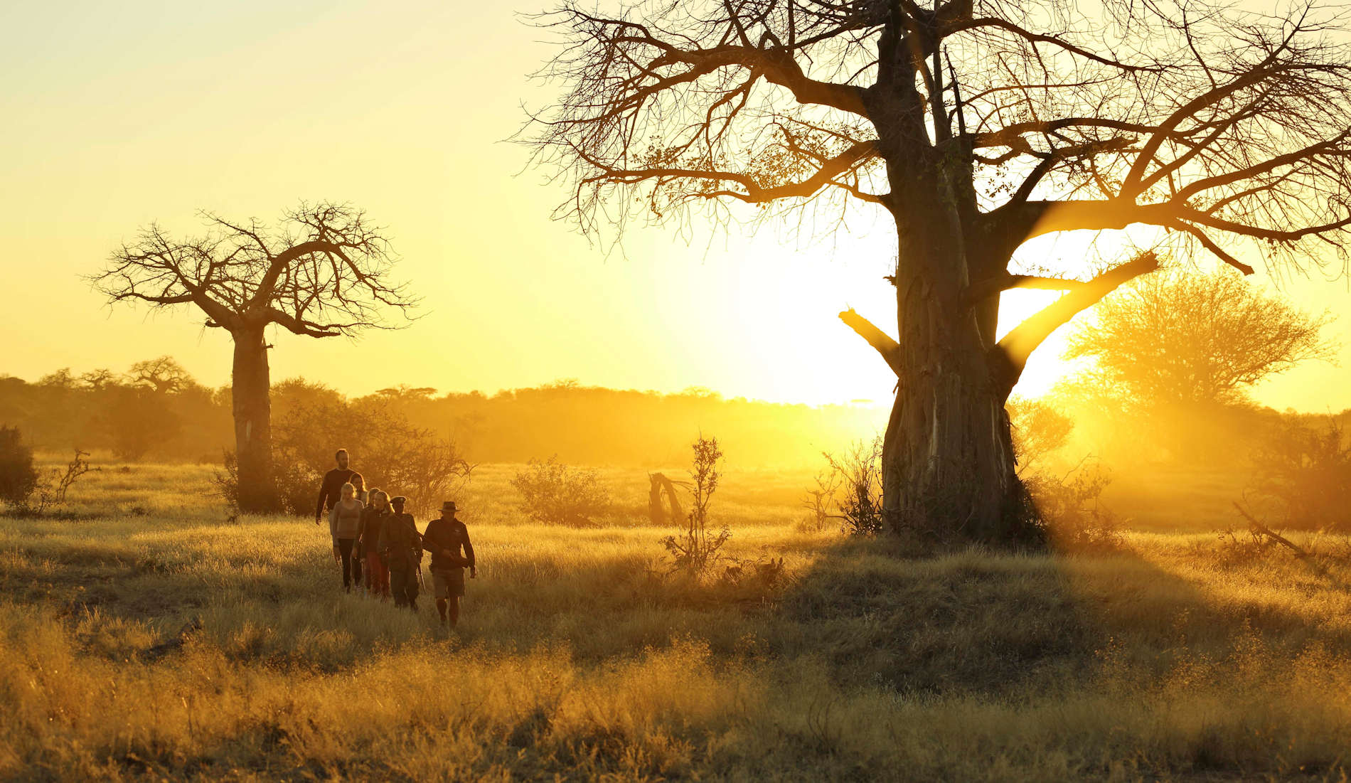 Tansania Reisen und Safaris