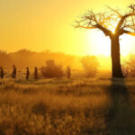 Tansania Reisen und Safaris