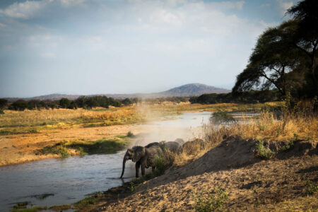 Tansania Safaris und Reisen