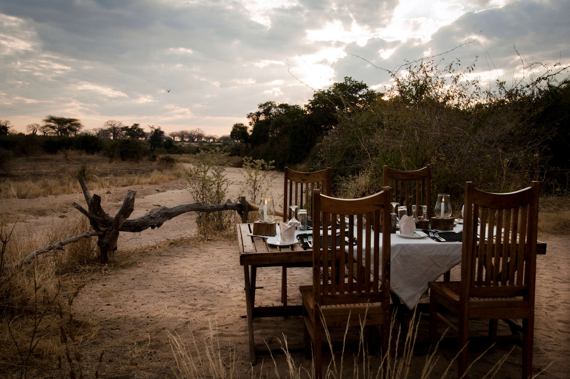 Kigelia Ruaha Camp (8)