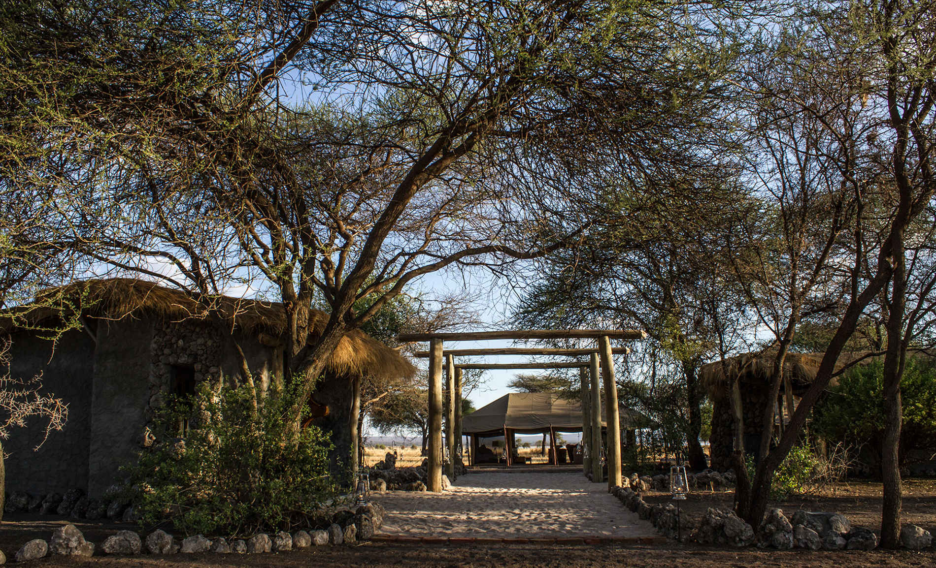 Little Chem Chem - Tarangire- Tansania (20)