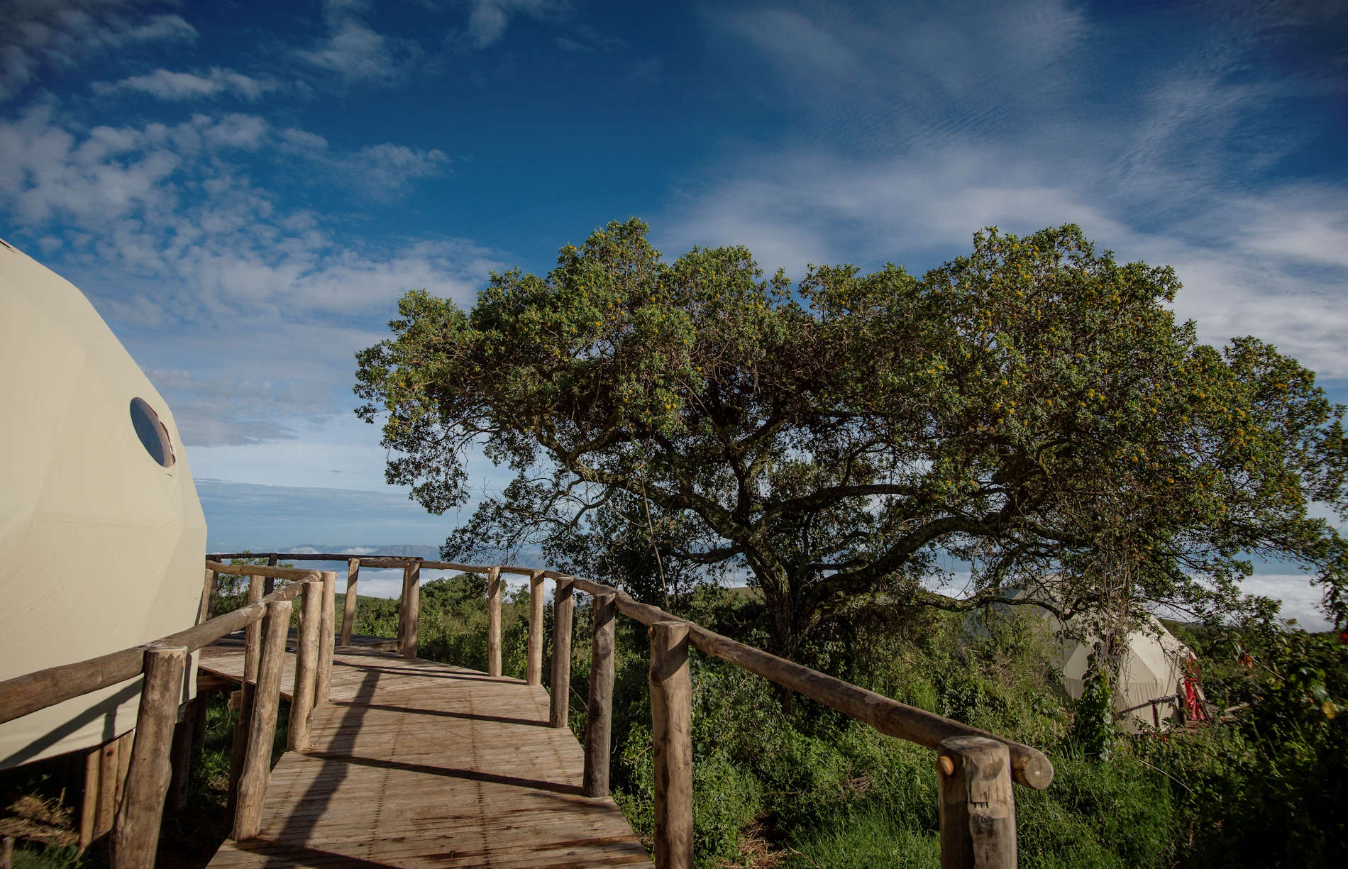 Ngorongoro Highlands - Tansania (2)