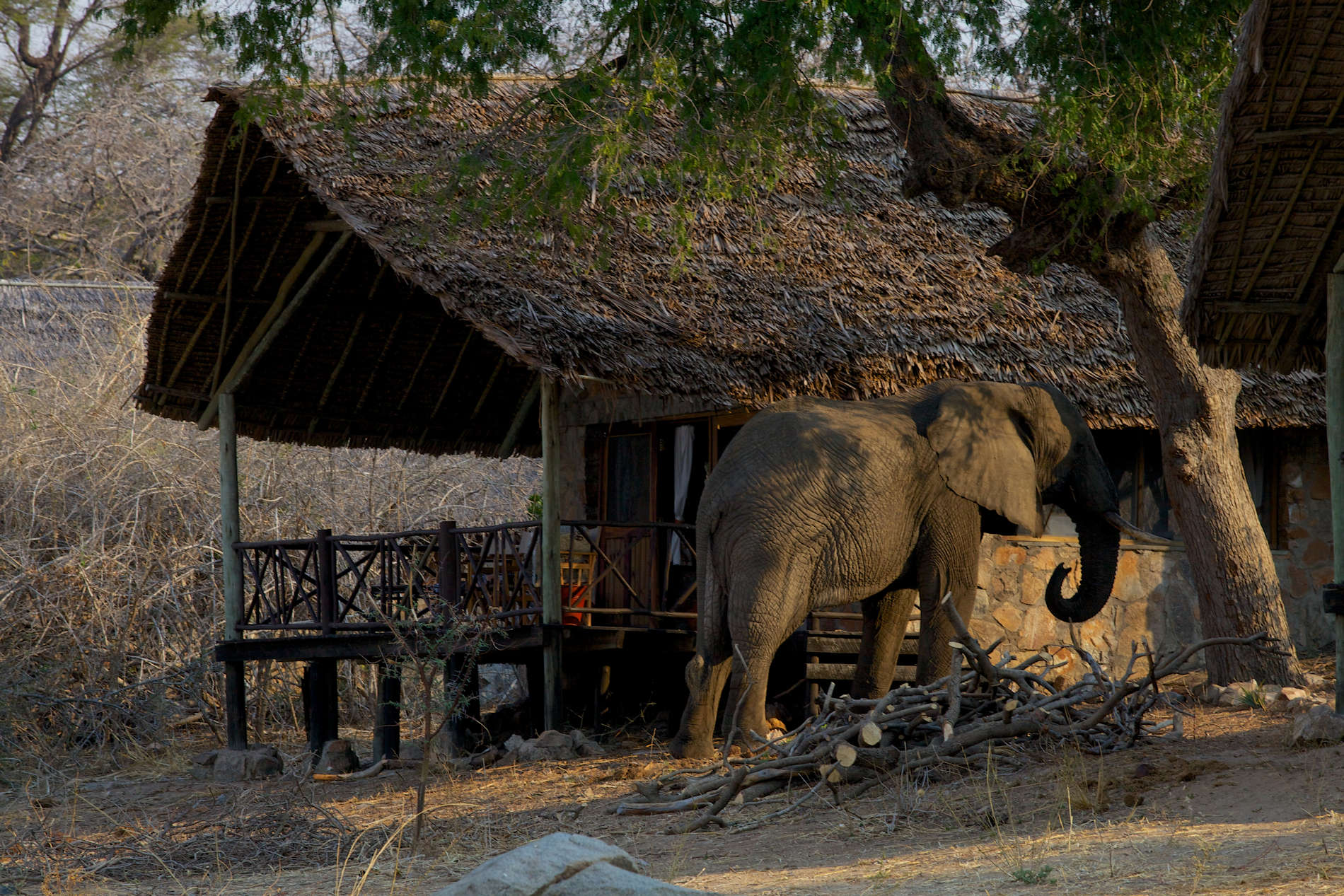 Ruaha River Lodge copyright Niels van Gijn