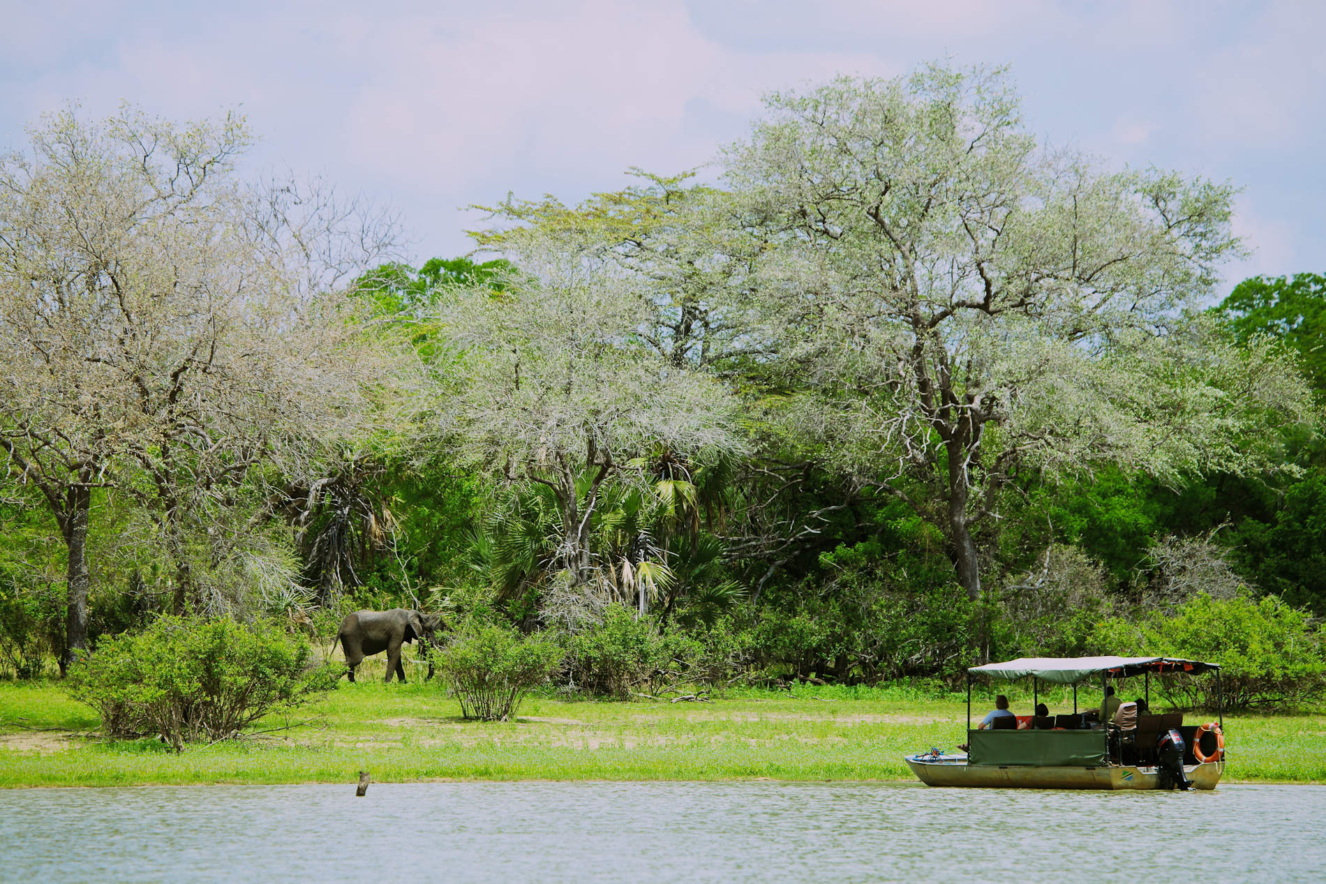 Rufiji River Camp copyright Niels van Gijn