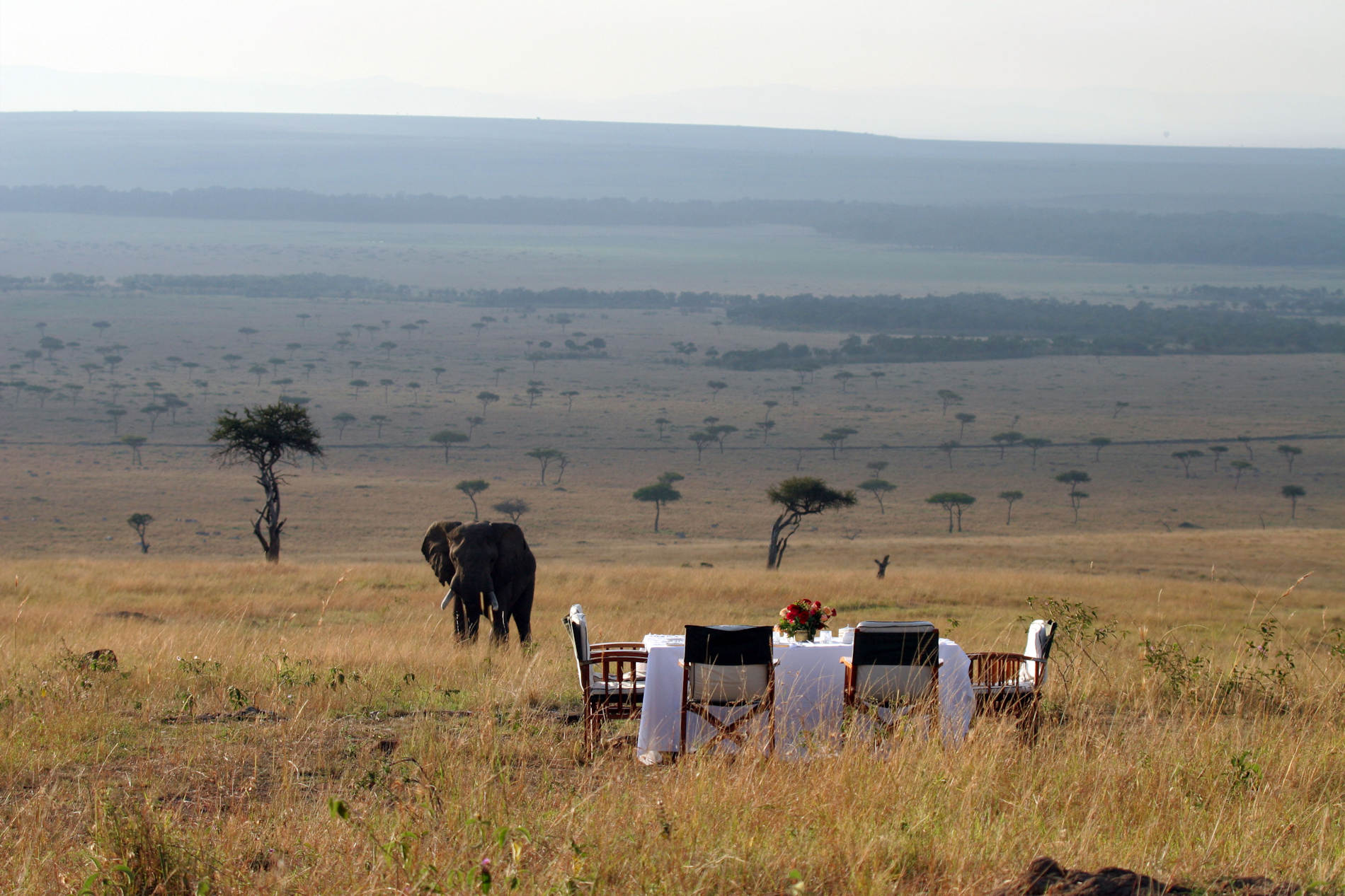 Sanctuary Serengeti Migration Camp (23)