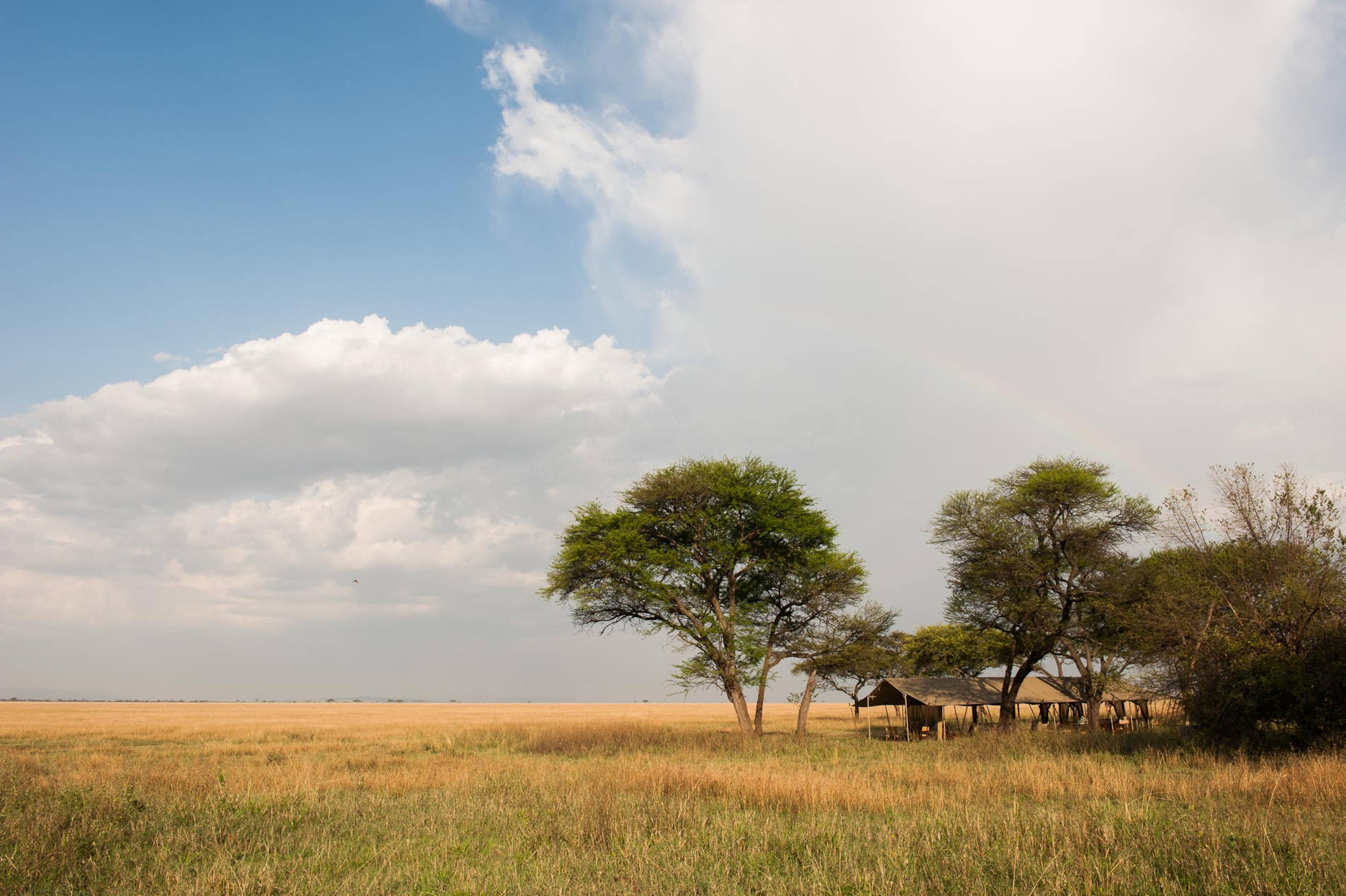 Serengeti Safari Camp (51)