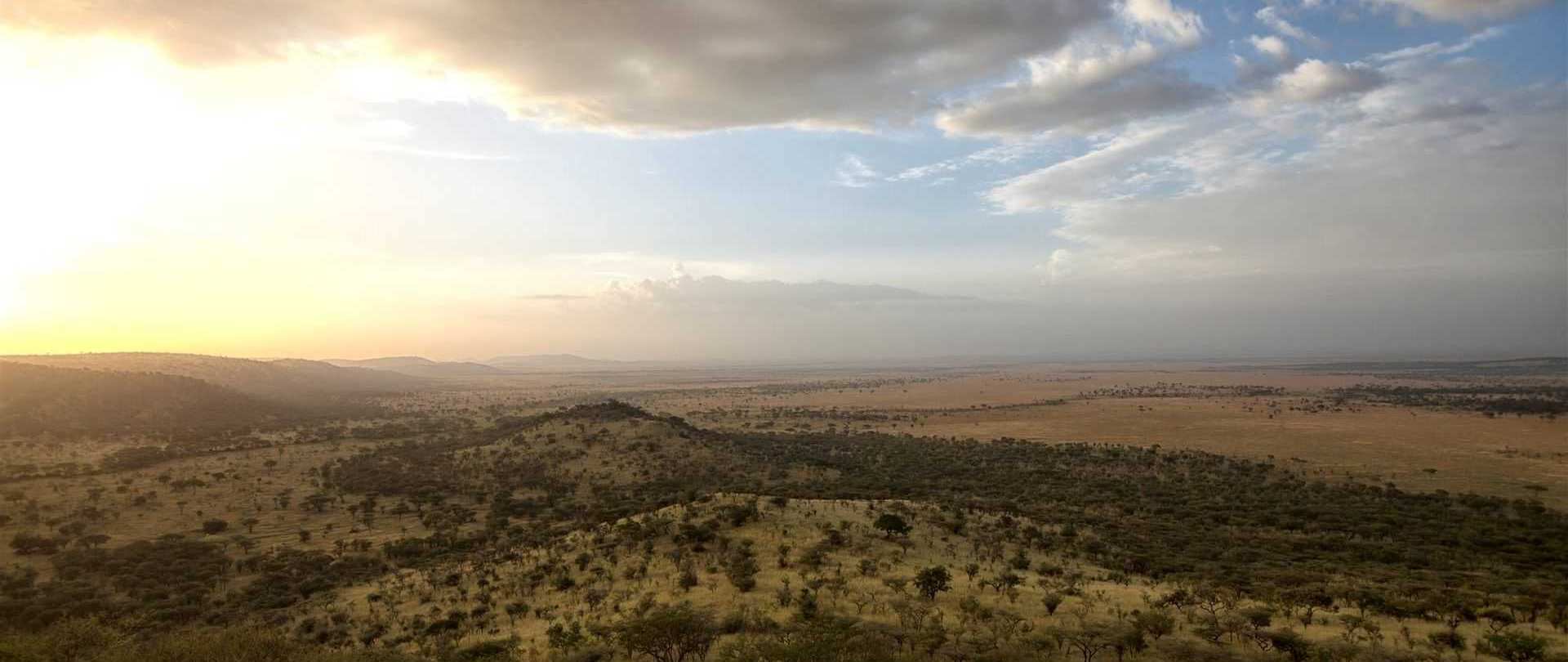 Soroi Serengeti Camp (1)