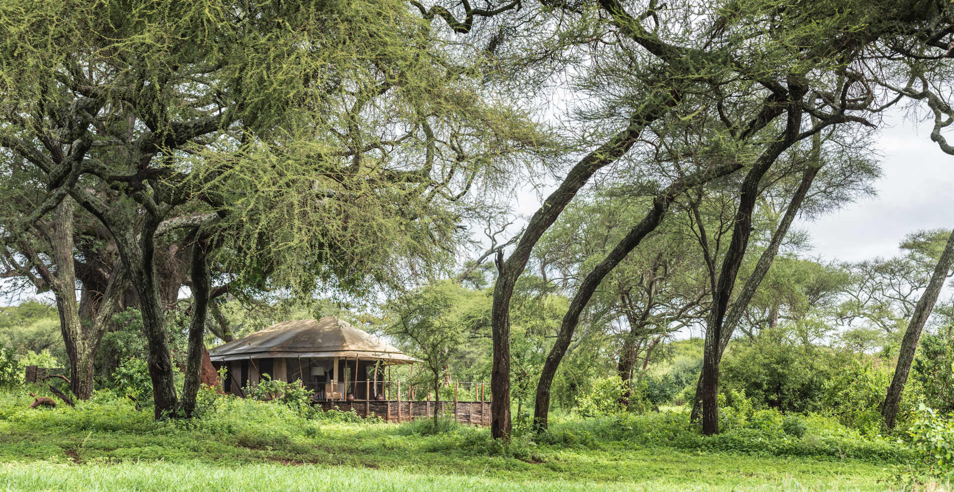 Swala Camp Tangarire Tansania