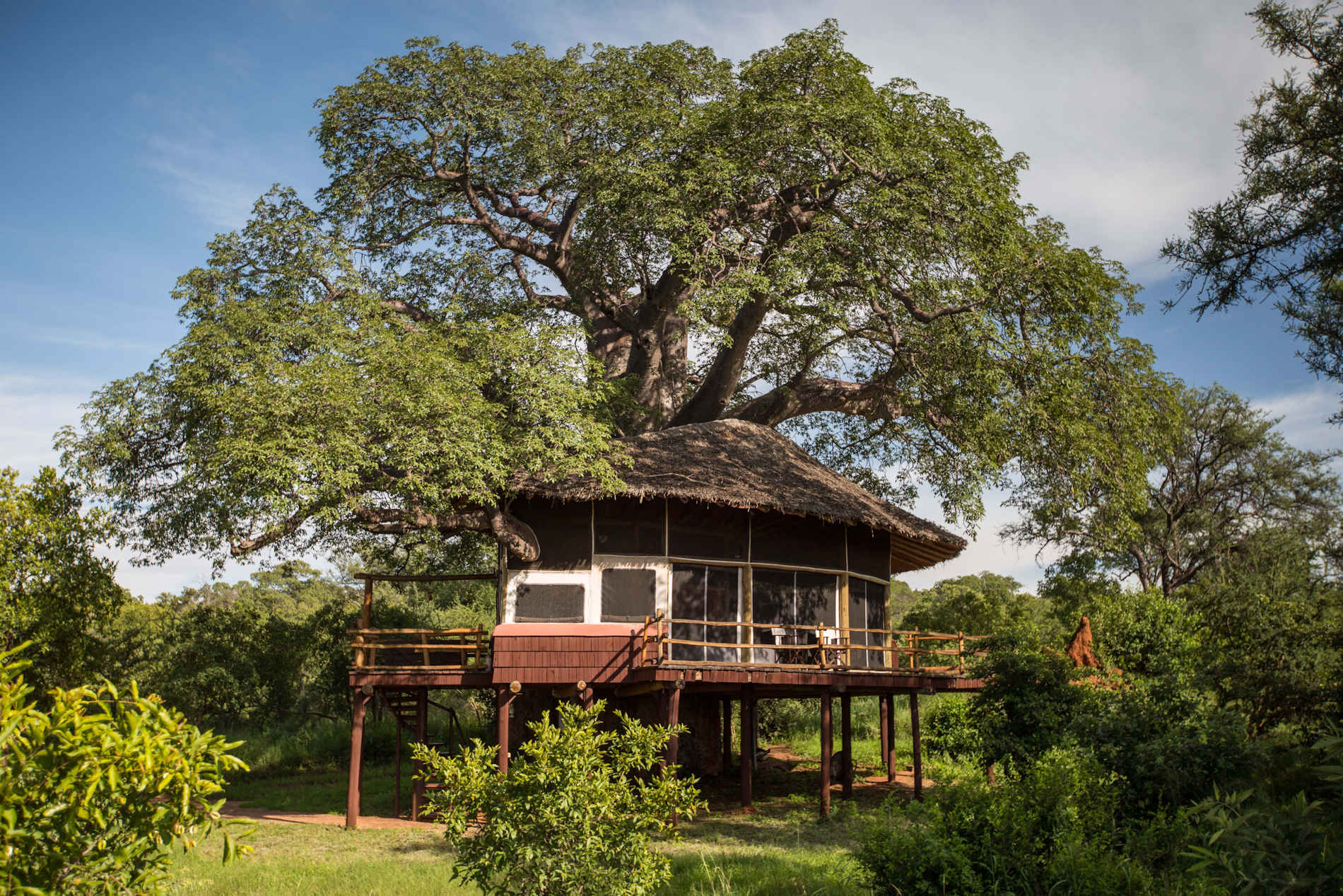 Tarangire Treetops - Tansania (1)