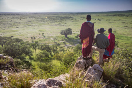 Tansania Safari Tarangire Treetops