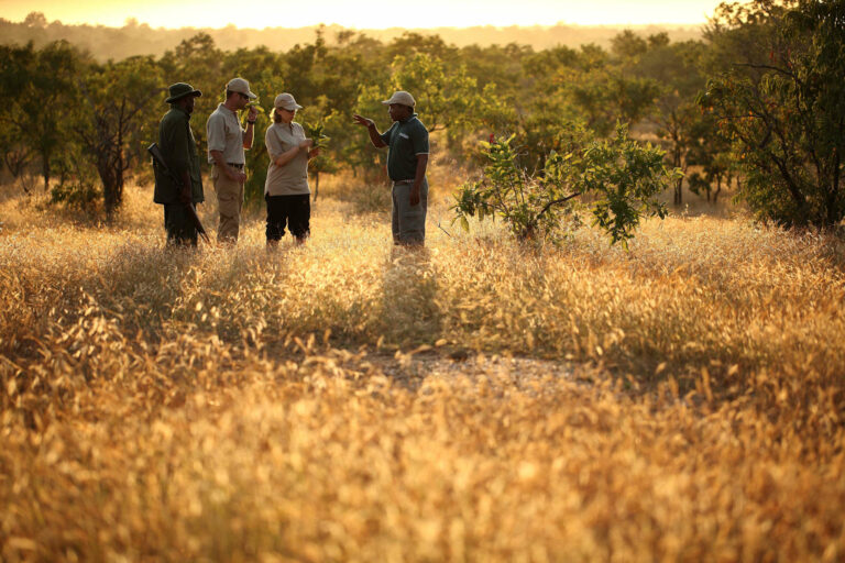 selous safari buchen