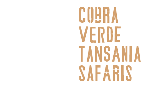 Cobra Verde Tansania Safaris - Logo