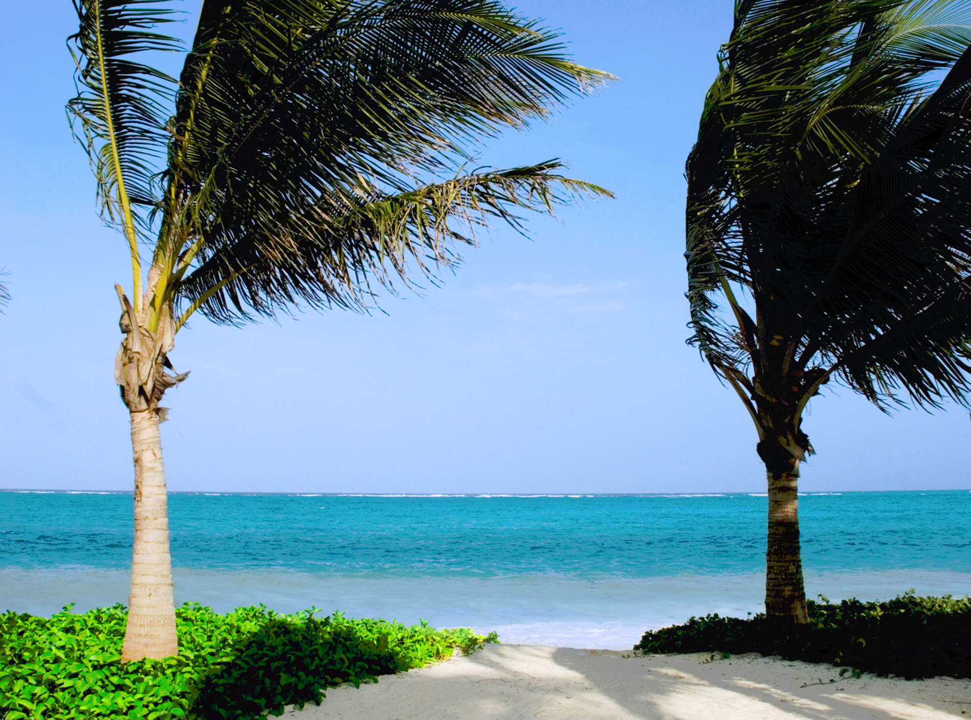 Baraza Sansibar (10)