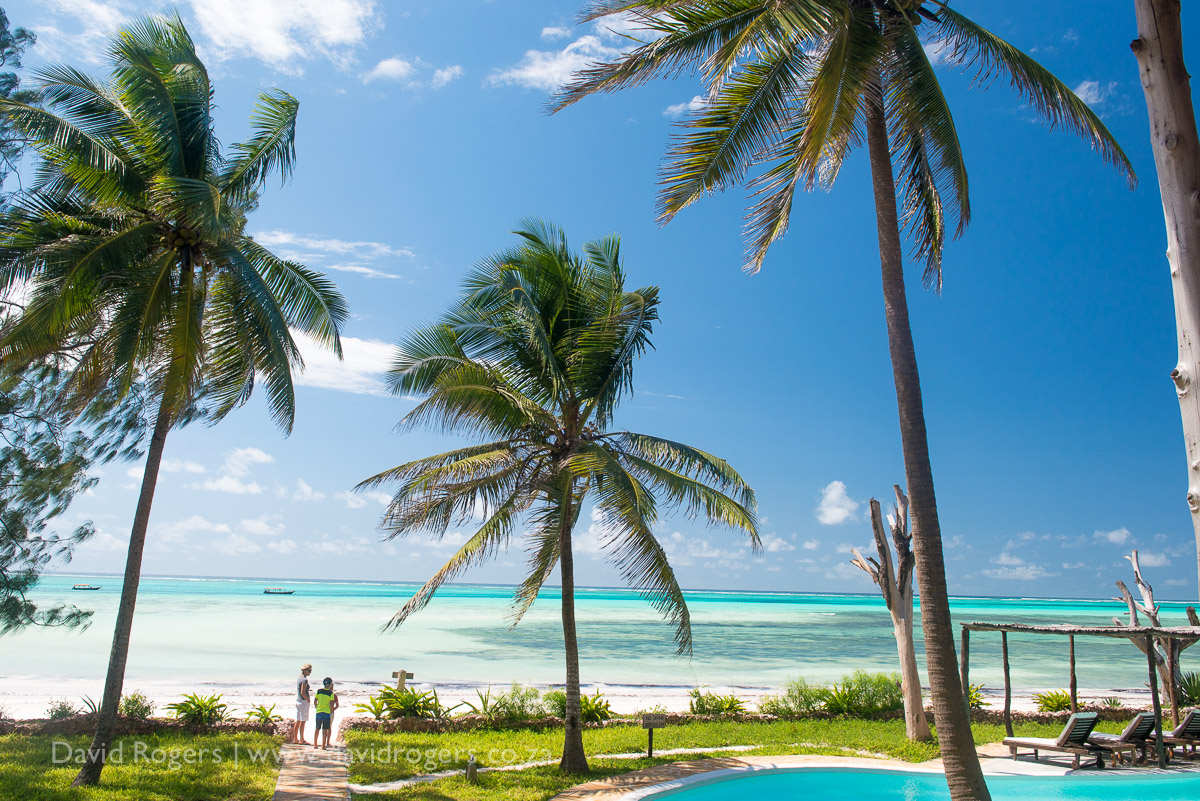 Dar House Sansibar (30)