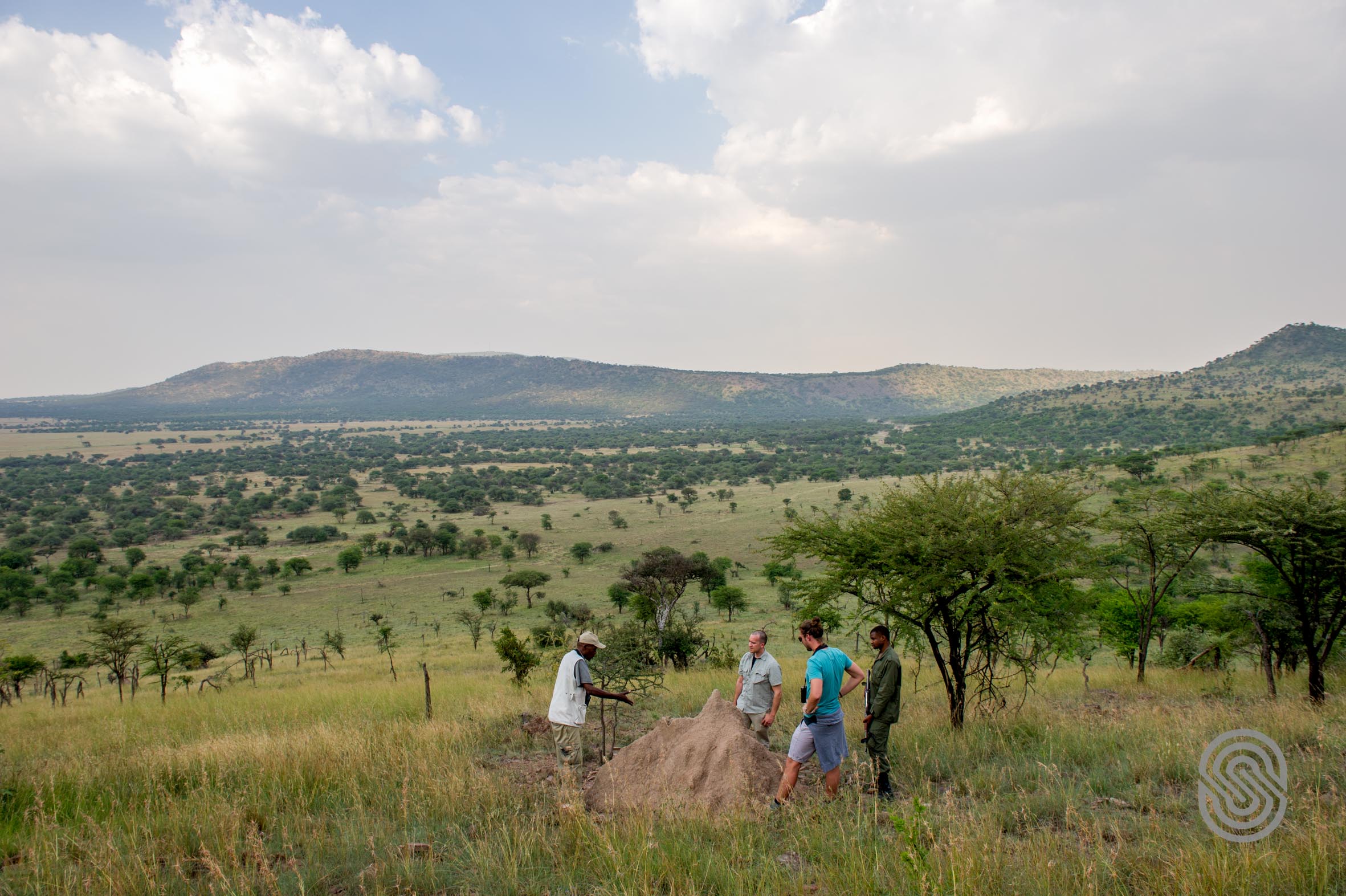 Serengeti Serena Safari Lodge (20)