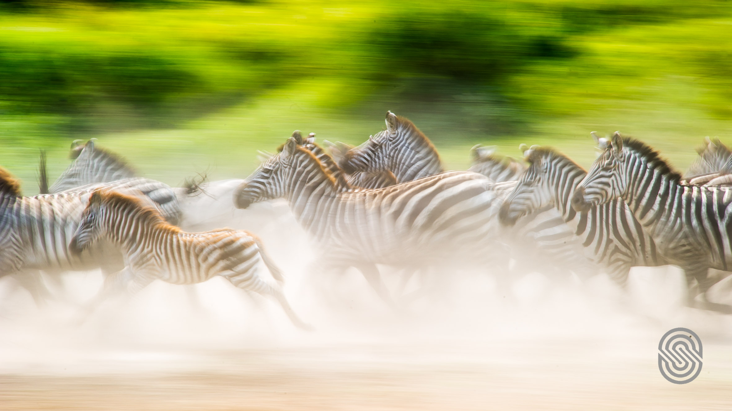 Serengeti Serena Safari Lodge (23)