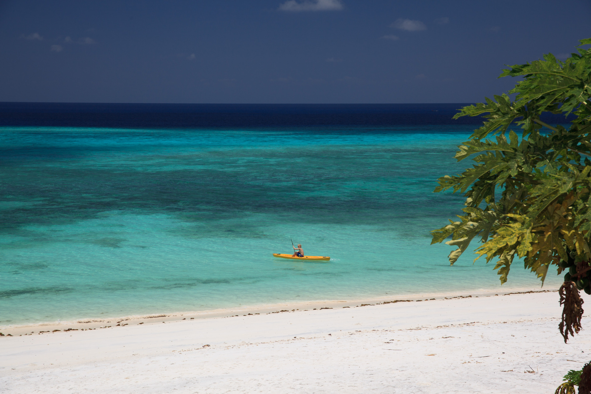 Tansania Strandurlaub Baden Und Safari Sansibar Cobra Verde