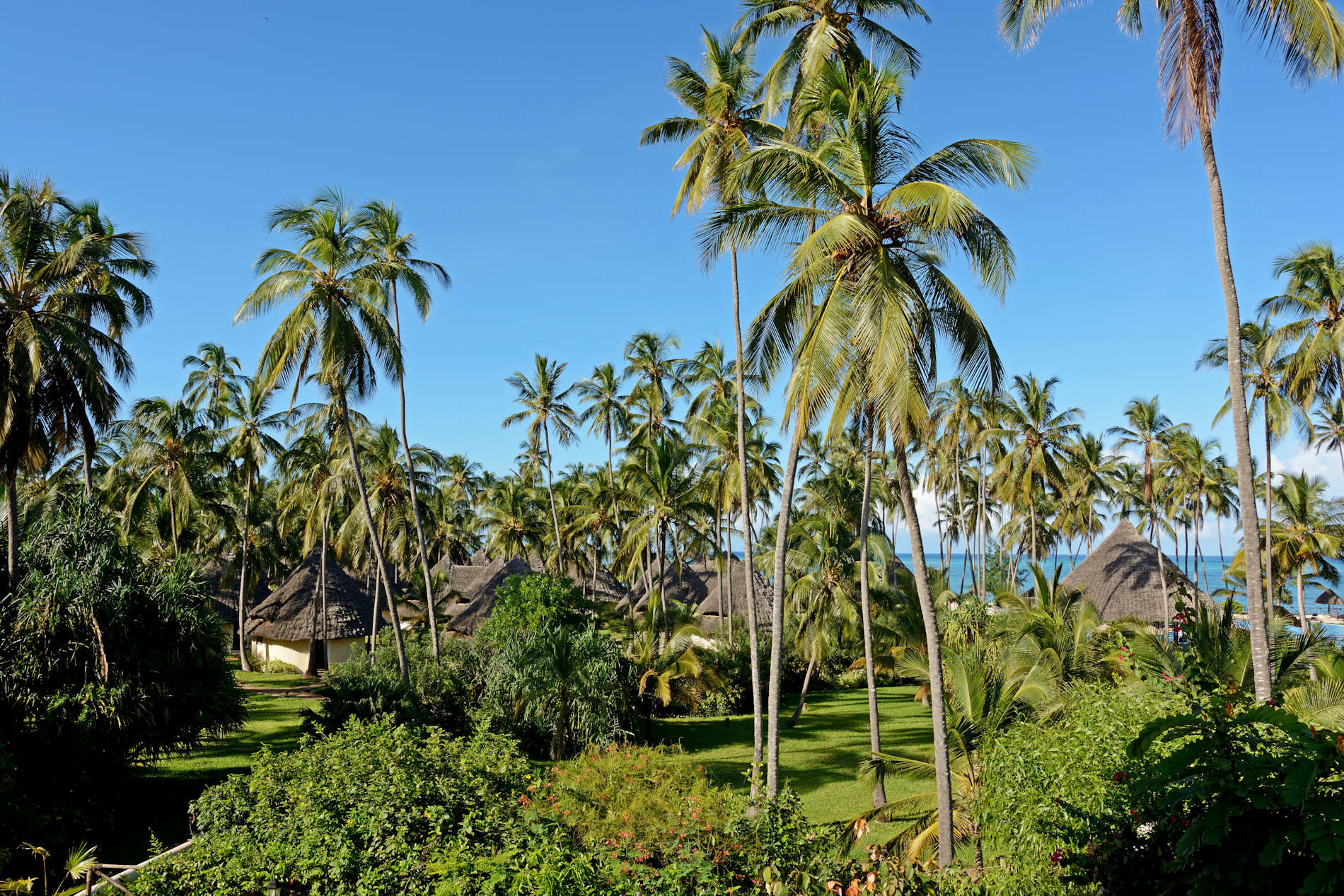 Ocean Paradise Copyright Andrew Morgan (5)