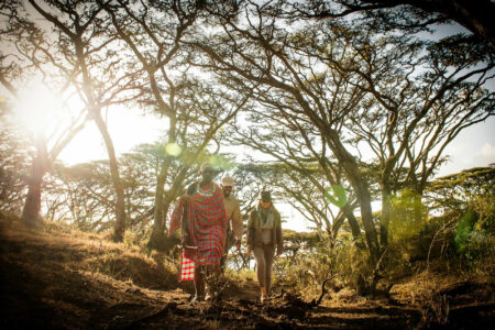 Tansania Safari Entamanu