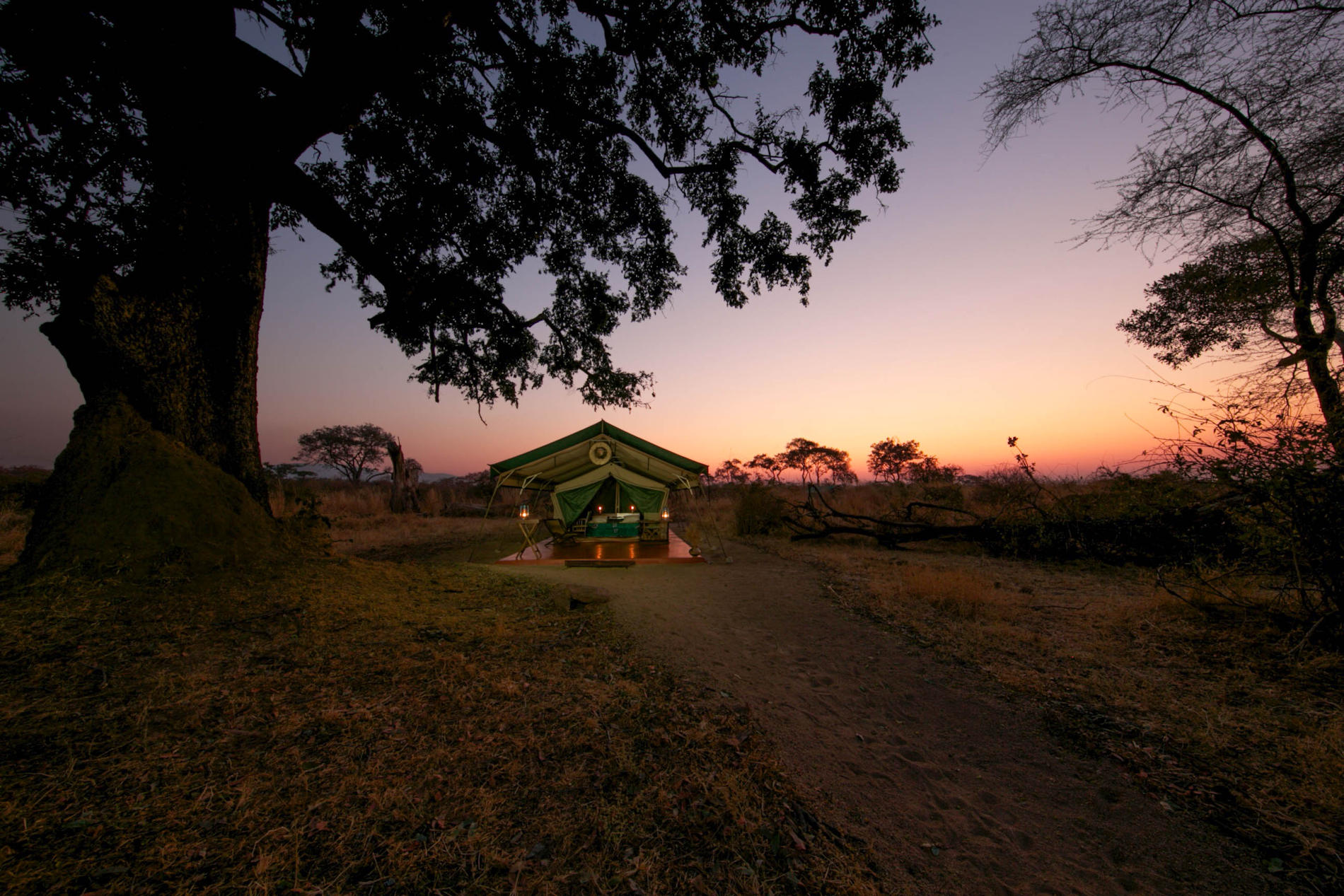 Mdonya_Old_River_Ruaha (31)