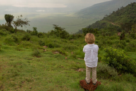 Tansania Safari