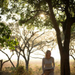 Tansania Safaris