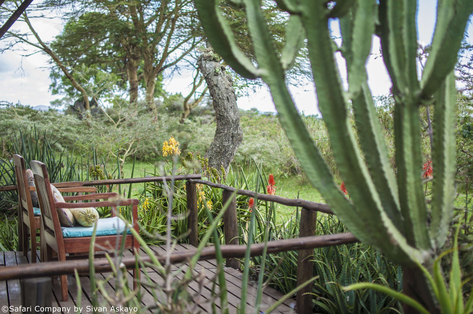 Tansania Safaris und Reisen Arusha