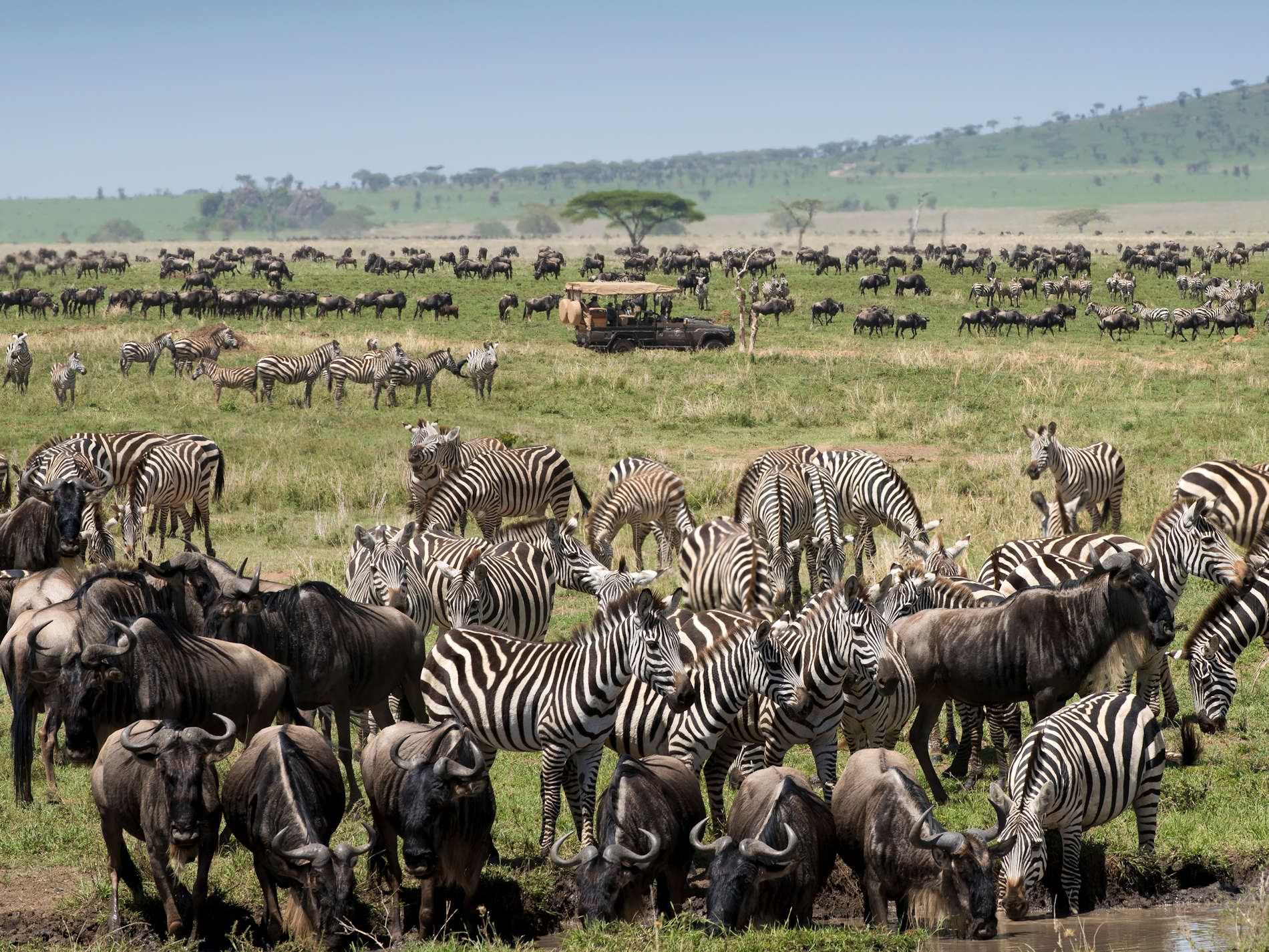 © One Nature Nyaruswiga (1)