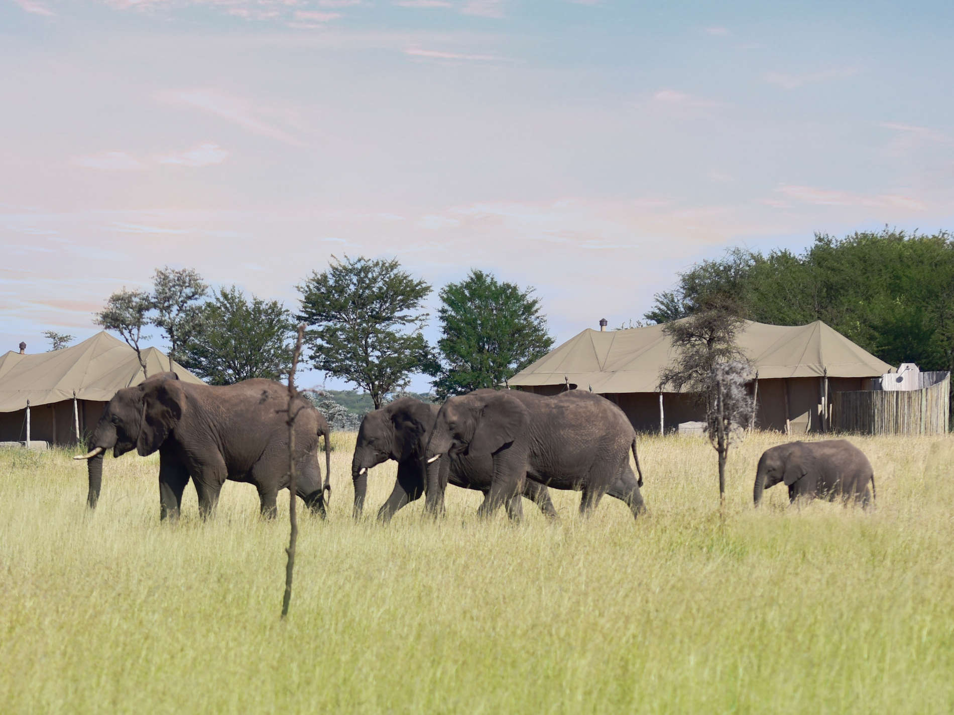 © One Nature Nyaruswiga (11)