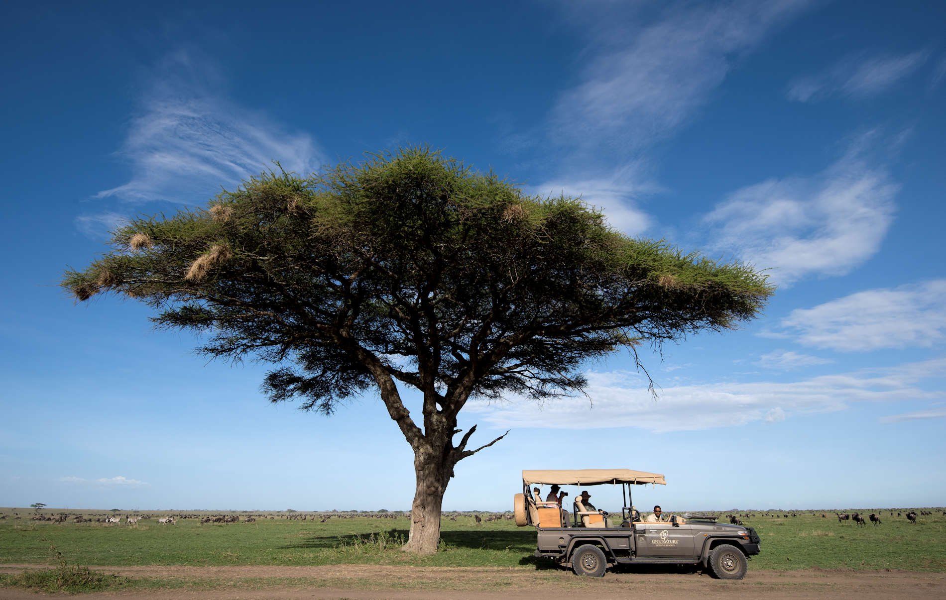 © One Nature Nyaruswiga (6)